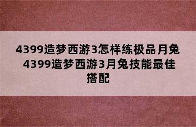 4399造梦西游3怎样练极品月兔 4399造梦西游3月兔技能最佳搭配